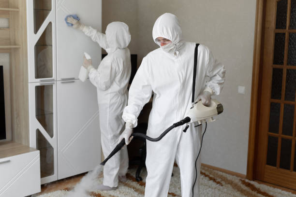 Best HVAC Mold Remediation in Grosse Pointe Farms, MI