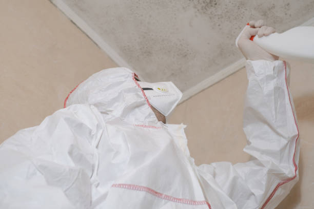 Professional Mold Remediation in Grosse Pointe Farms, MI